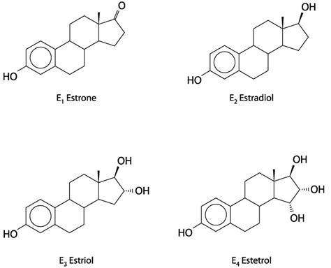 Estrogen function, pills, foods, estrogen blocker and estrogen side effects