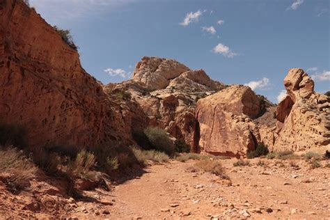 Grand Wash Trail (Capitol Reef National Park, UT): Top Tips Before You ...