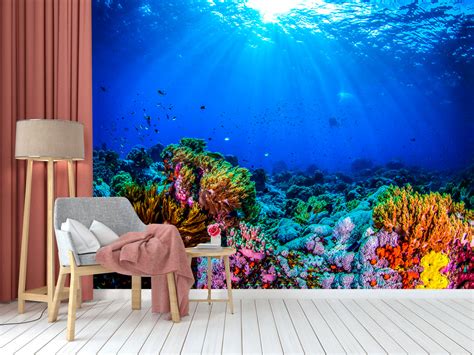 Coral Underwater Wallpaper – Myindianthings