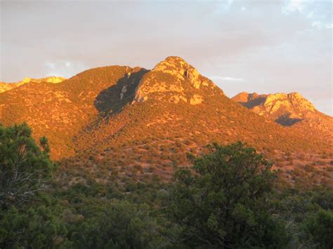 Notes from the Field: Searching for High Spring in the Huachuca Mountains - Sky Island Alliance