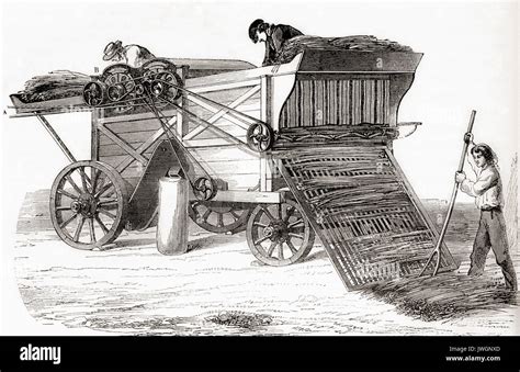 Threshing machine worker hi-res stock photography and images - Alamy