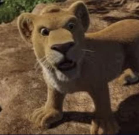 Ryan The-Lion Cub | The 3D-Computer-Animated Wiki | Fandom