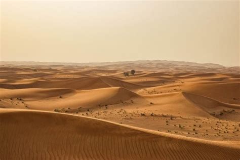 Fakta Gurun Sahara - Gurun panas / padang pasir terbesar di dunia ...