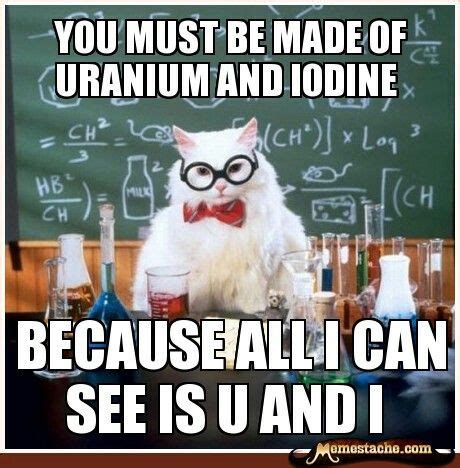 Chemistry cat | Science humor, Science jokes, Science puns