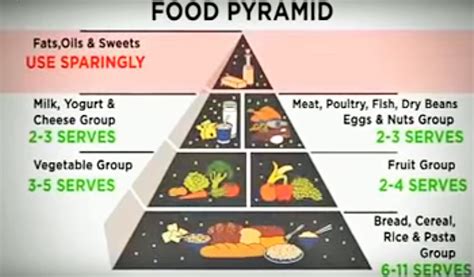 How to eat a diet low in saturated fat - HEALTH GUIDE 911