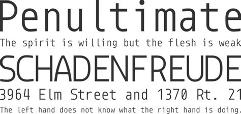 Monoid Font Free by Andreas Larsen | Font Squirrel