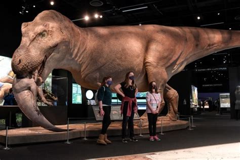 Sue the T. rex has taken over Denver Museum of Nature & Science, and it's a must-see