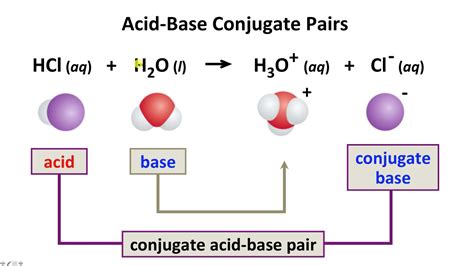 Bronsted-Lowry-Acids-Bases-Screencast-2-12-17 - YouTube