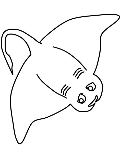 Aquatic Animal Coloring Pages Sea Animals - Printable Coloring