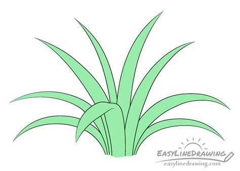 Share 70+ grass sketch easy latest - seven.edu.vn