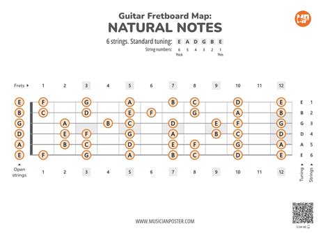 Guitar Fretboard Map PDF With Natural Notes