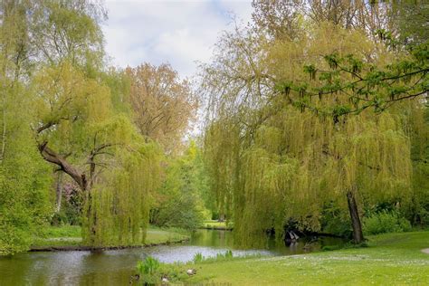 7 Amsterdam Park Every Visitor Should See