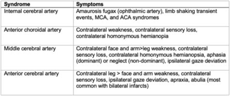 Acute Ischemic Stroke: Pathophysiology, Cerebrovascular Anatomy, and ...