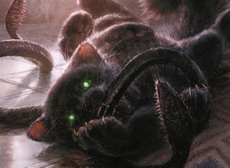 Displacer Kitten | Magic: the Gathering MTG Cards