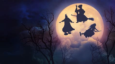 1366x768 Hocus Pocus 2 Movie 1366x768 Resolution Wallpaper, HD Movies ...