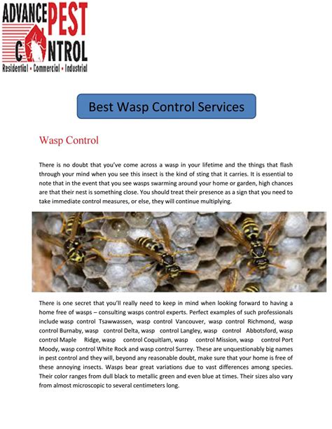 Wasp Control by larryclark - Issuu