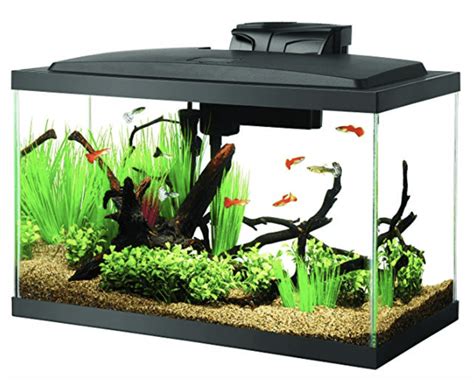 Best 10-Gallon Fish Tanks Available - Top 6 of 2020