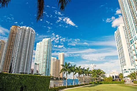 Miami skyline skyscraper stock photo. Image of south - 135095994