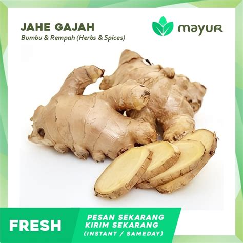 Jual Jahe Gajah 100 g | Shopee Indonesia