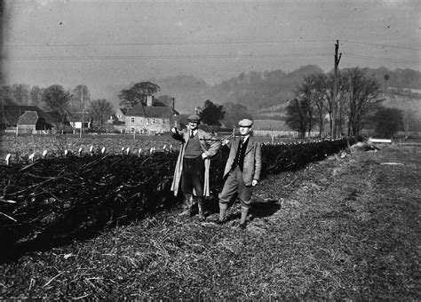 Hedgerow Heritage