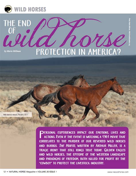 The End of Wild Horse Protection? (Natural Horse Magazine) – Wild Horse Education