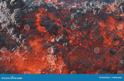 Front a Lava Flow, Volcano Pacaya Stock Photo - Image of guatemala ...