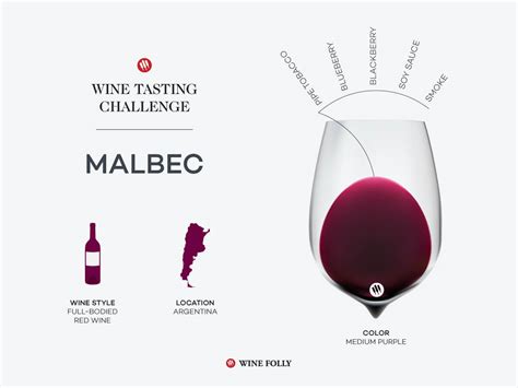 Tasting Challenge: Argentina's Adopted Child, Malbec | Wine Folly