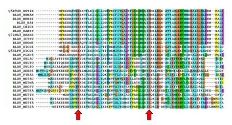 How do protein signatures compare to other ways of classifying proteins ...