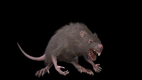 WereRat 3D Model - TurboSquid 1786070