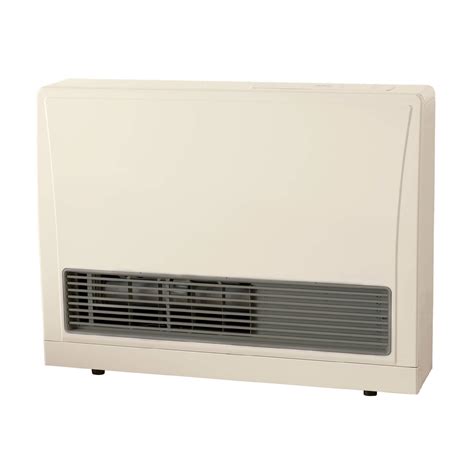 Buy Rinnai EX17CTN 17k BTU Direct Vent, Natural Online at desertcartINDIA