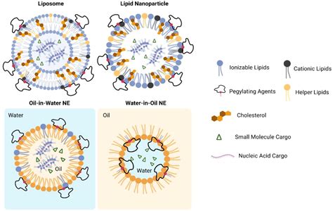 Frontiers | Application of lipid-based nanoparticles in cancer immunotherapy