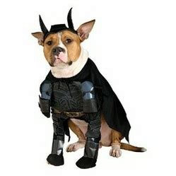 Dog Superhero Halloween Costumes