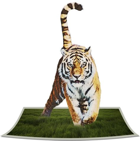 Tiger Art In 3d Free Stock Photo - Public Domain Pictures