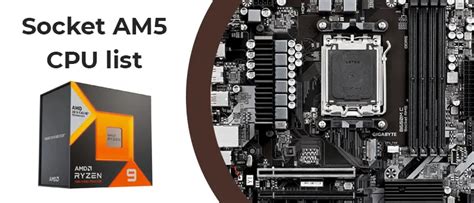 AM5 Socket: CPU list, specs and features