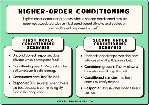 🎉 Real life examples of operant conditioning. 25 Operant Conditioning Examples In Everyday Life ...