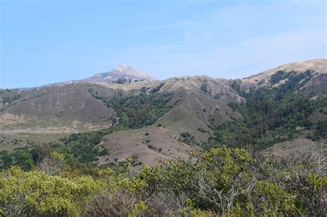 Hiking The Best Trail in Andrew Molera State Park - Top Down Lifestyle