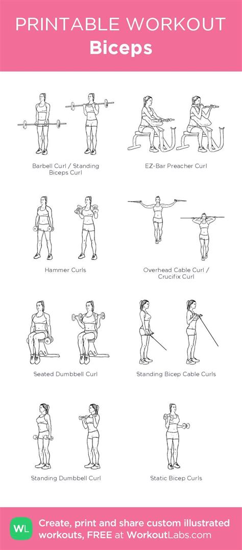 bicep and tricep workout without dumbbells > OFF-51%