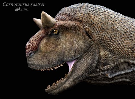 Toro carnivoro / Carnotaurus by Carlost1205 on DeviantArt