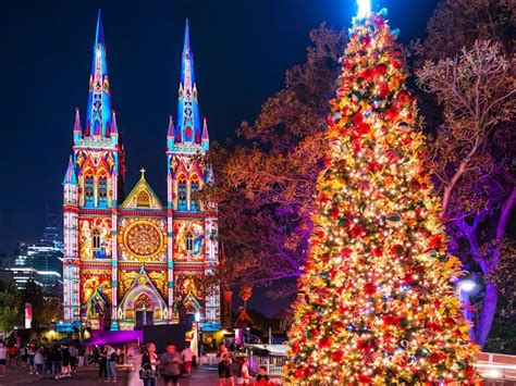 St Mary'S Cathedral Christmas Lights 2024 Elections - Eadith Malina