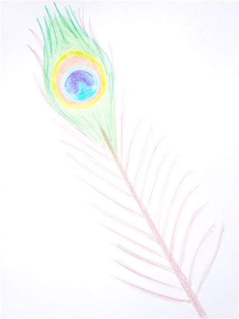 How To Draw A Peacock Feather With Watercolour Pencils - Birch And Button