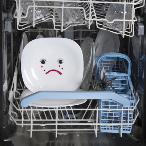 Dishwasher Drain Hose Clogged: 6 Easy Fixes