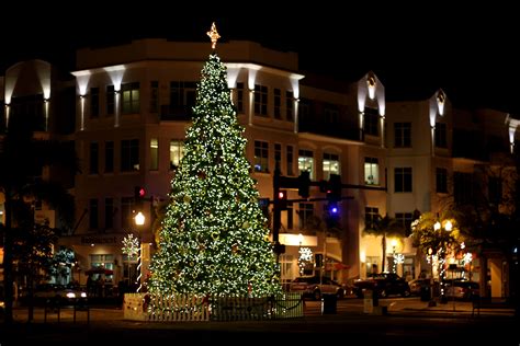 Downtown | Holiday decor, Decor, Christmas tree