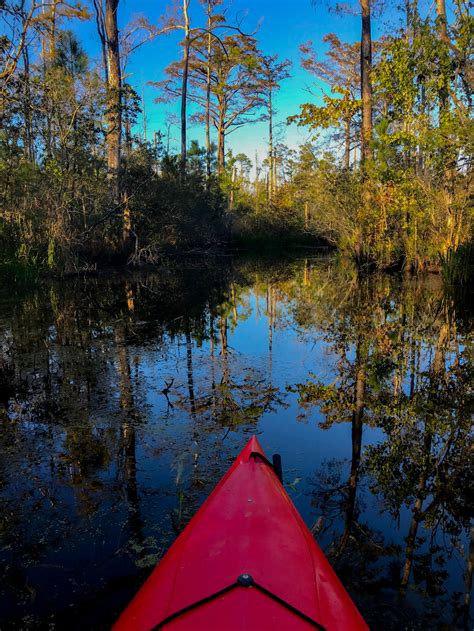 An Afternoon Kayaking in Alligator River National Wildlife Refuge - Thirdeyemom