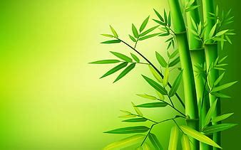 HD bamboo wallpapers | Peakpx