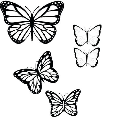 Butterfly Drawing Outline at GetDrawings | Free download