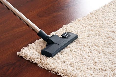 Carpet Cleaning Company in San Diego | That Guy Carpet Cleaning