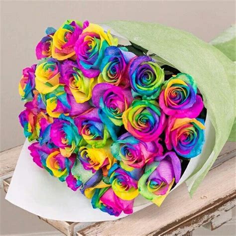 Pin by Kris Aquino on Nene Pegs | Rainbow roses, Rainbow flowers, Rainbow