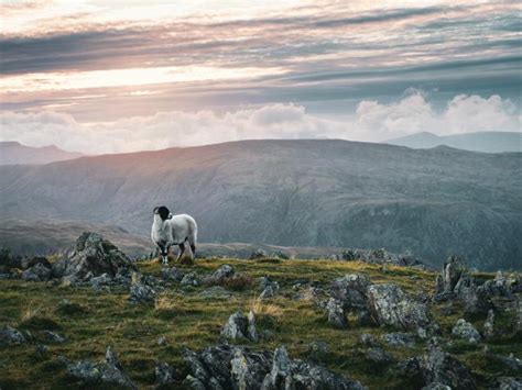 Highlands winter walking holiday in Scotland | Responsible Travel