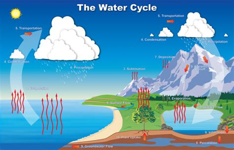 Energy and Matter: Flows, Cycles, & Conservation — Paxton Center School ...