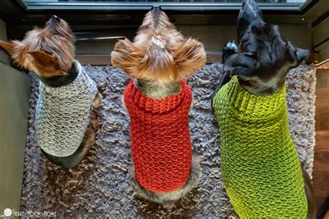 Easy Crochet Dog Sweater for Large, X Large, and XX Large Dogs